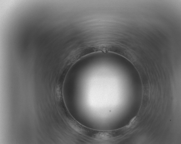 X0000064730086200602131301