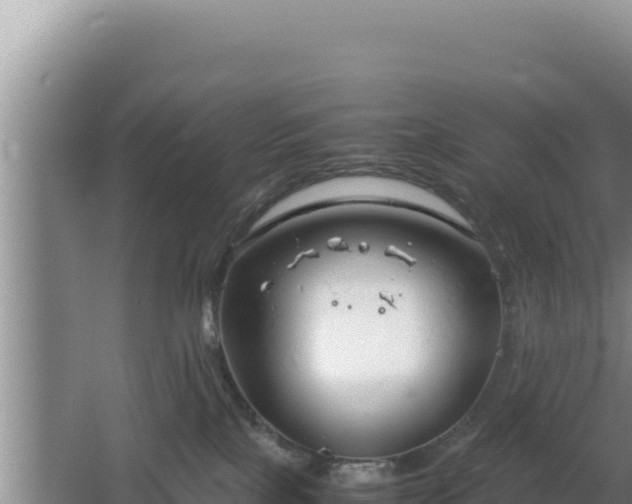 X0000064730089200602131301