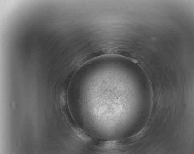 X0000064730090200602131301