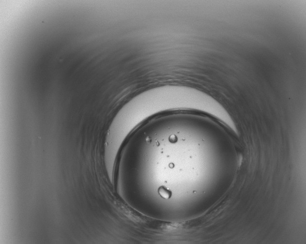 X0000064730092200602131301