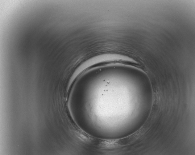 X0000064730093200602131301