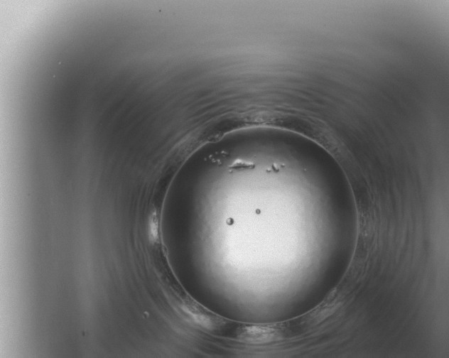 X0000064730095200602131301