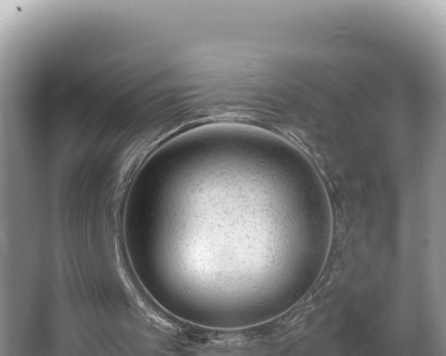 X0000064730097200602131300