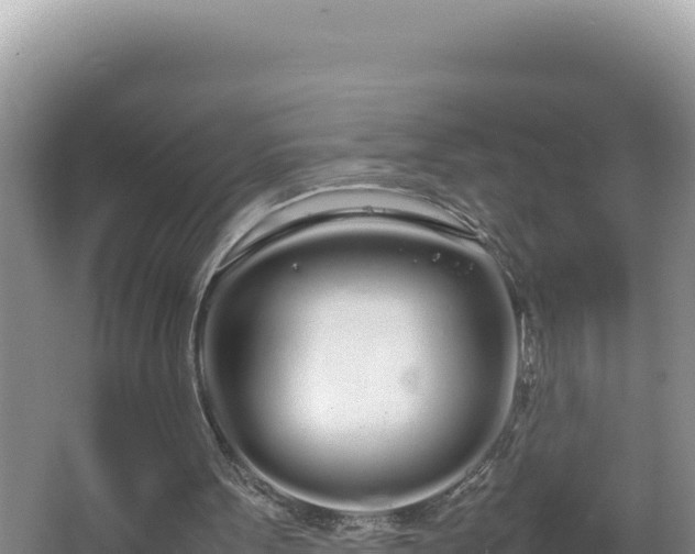 X0000064730099200602131300