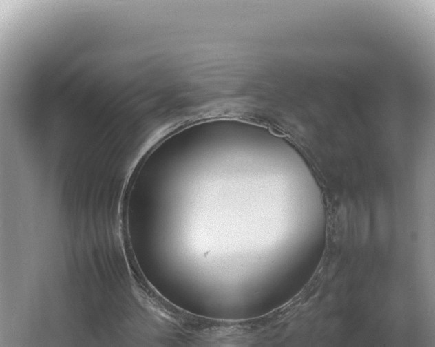 X0000064730100200602131300