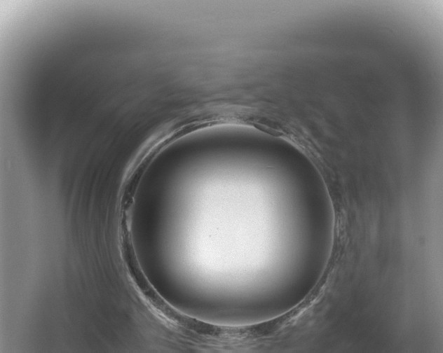 X0000064730101200602131300