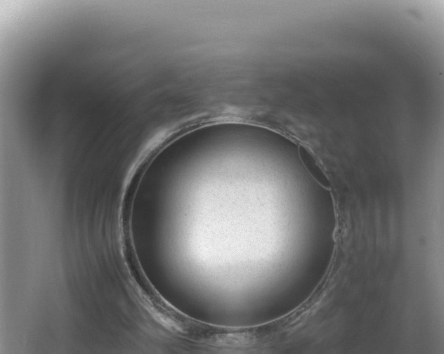 X0000064730102200602131300