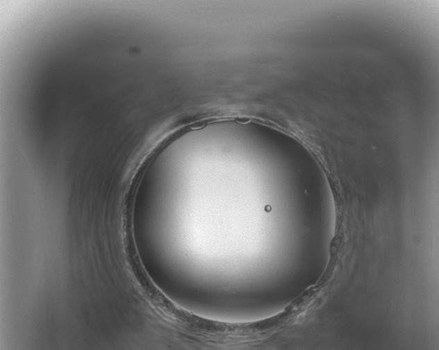 X0000064730103200602131300