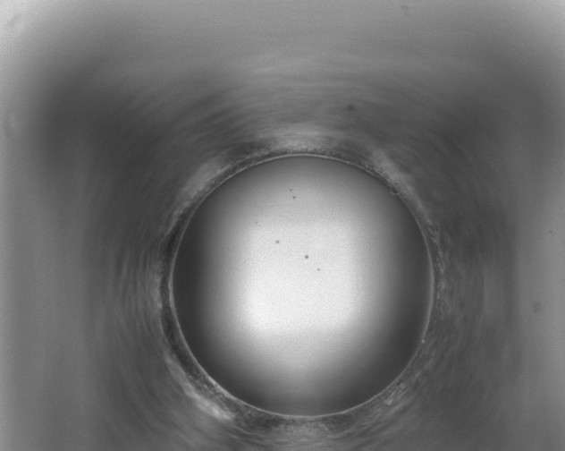 X0000064730106200602131300