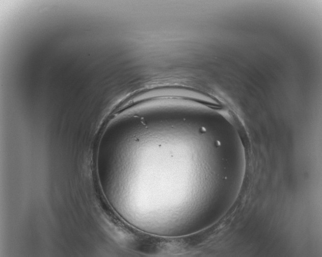 X0000064730107200602131300