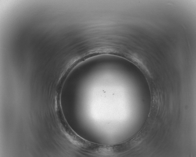 X0000064730110200602131300