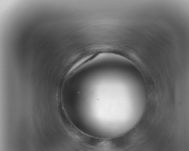 X0000064730119200602131300