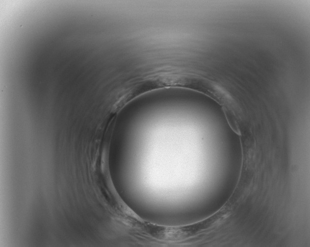 X0000064730121200602131300