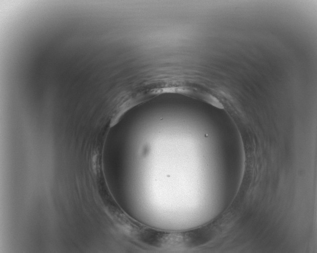 X0000064730123200602131300