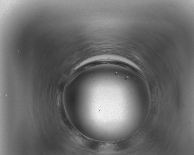 X0000064730125200602131300