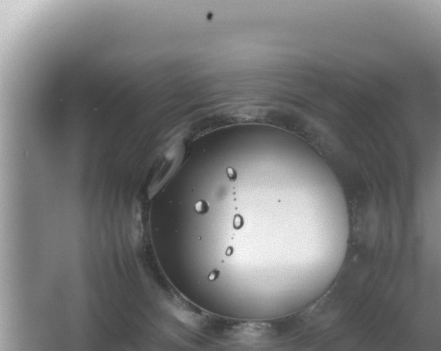 X0000064730128200602131300