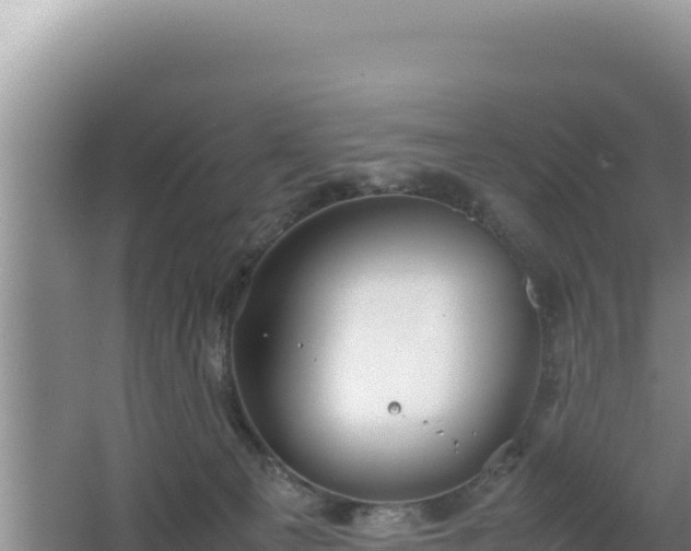 X0000064730129200602131300