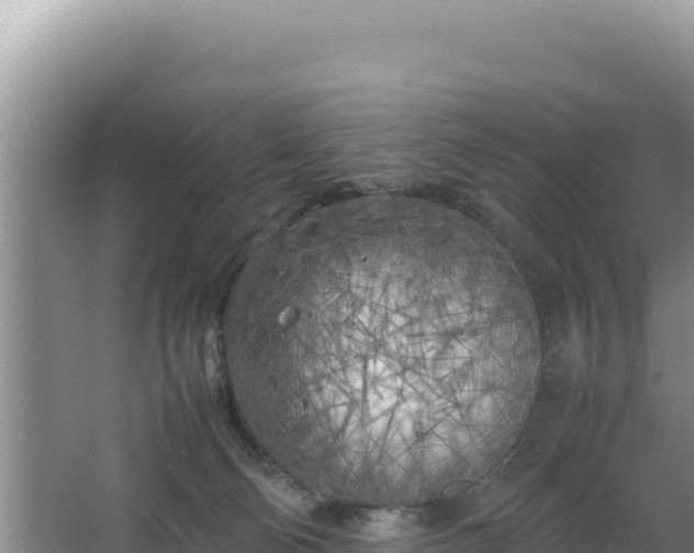 X0000064730130200602131300