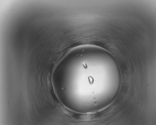 X0000064730131200602131300