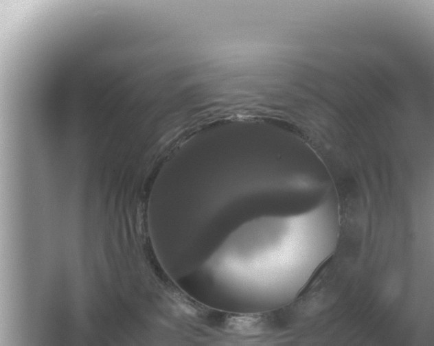 X0000064730139200602131300