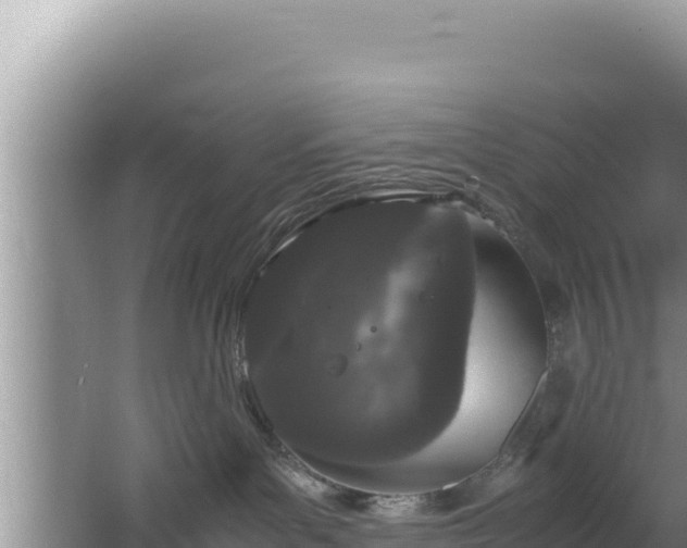 X0000064730143200602131300