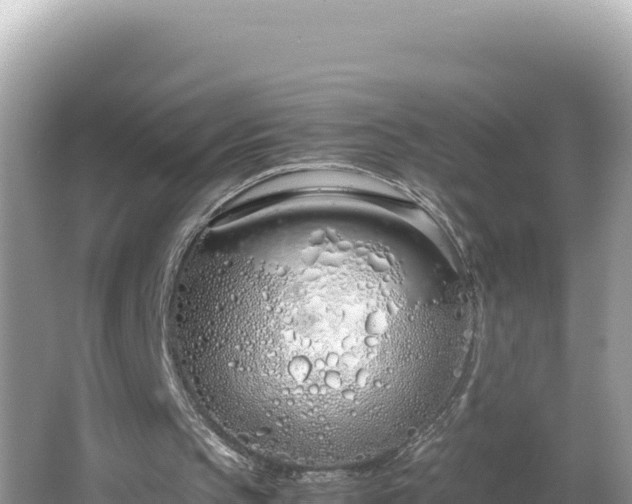 X0000064730145200602131259