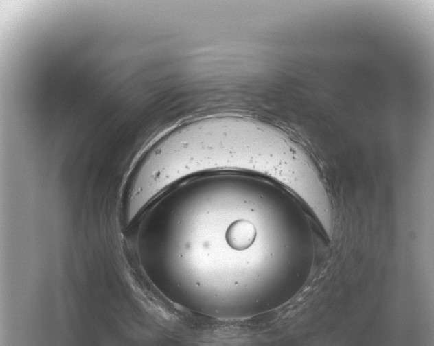 X0000064730146200602131259