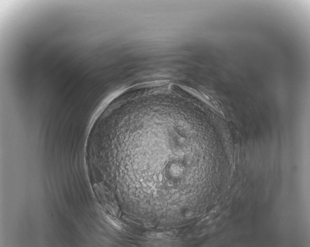 X0000064730147200602131259