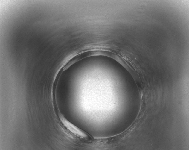 X0000064730148200602131259