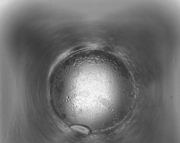 X0000064730149200602131259