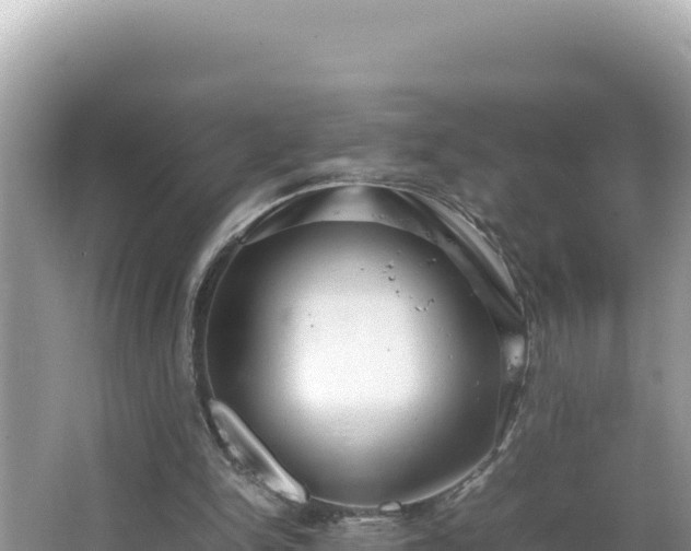 X0000064730150200602131259