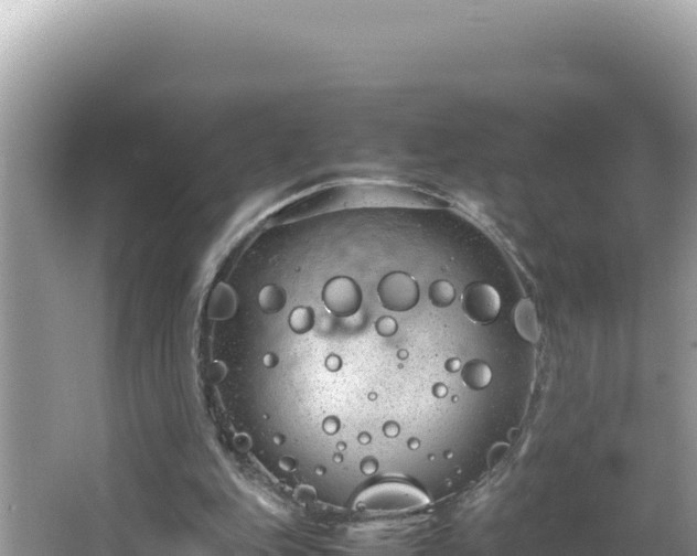 X0000064730151200602131259