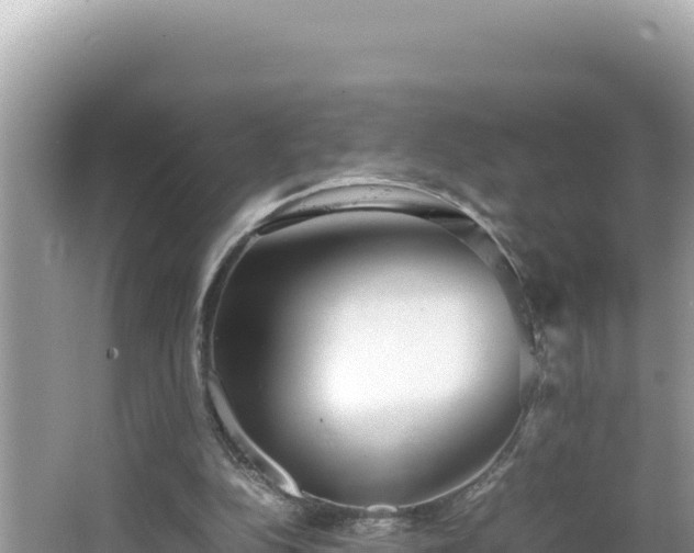 X0000064730152200602131259