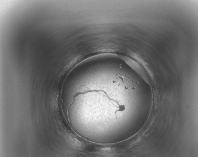 X0000064730153200602131259