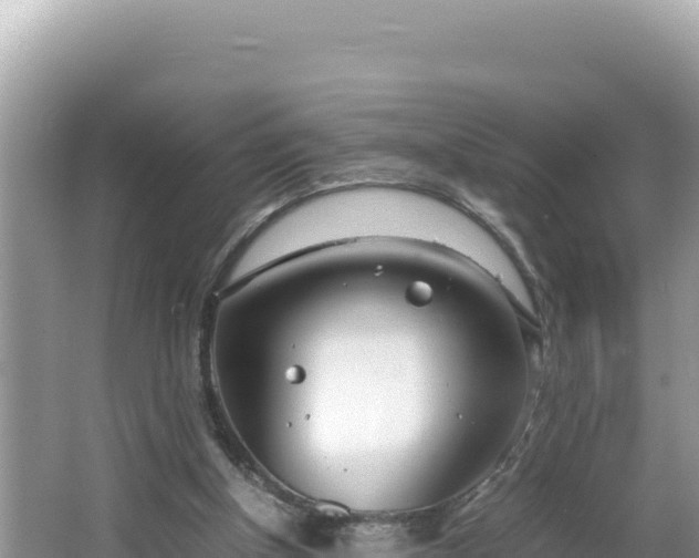 X0000064730154200602131259