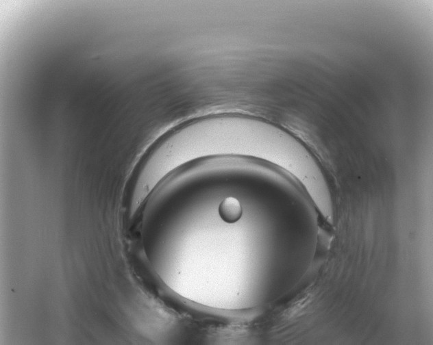 X0000064730156200602131259