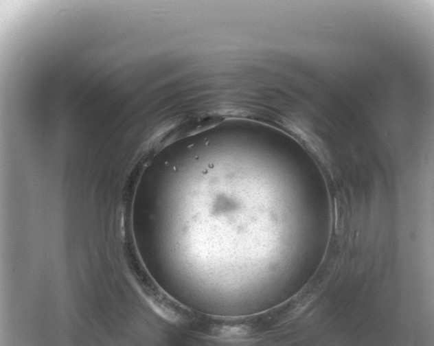 X0000064730157200602131259