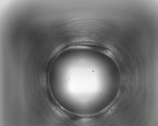 X0000064730158200602131259