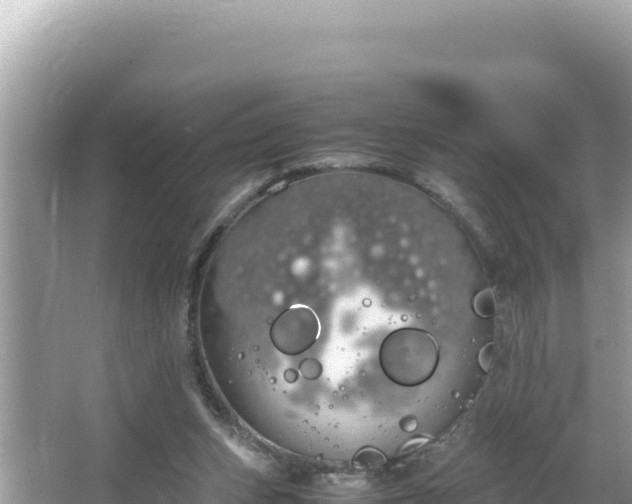 X0000064730159200602131259