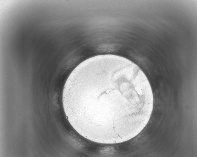 X0000064730162200602131259