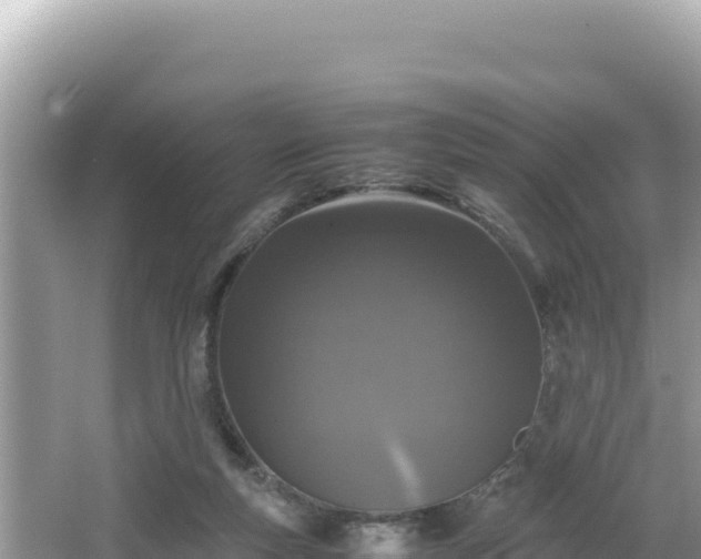 X0000064730163200602131259