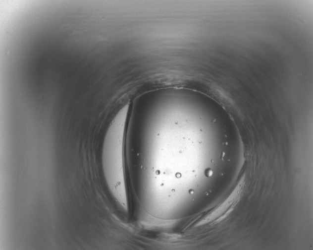 X0000064730170200602131259