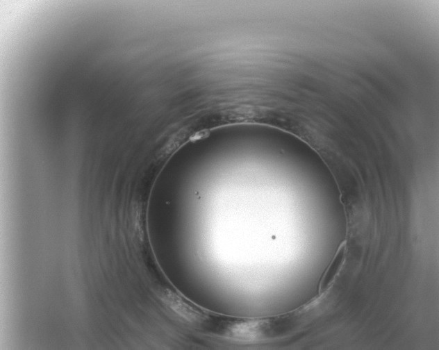 X0000064730178200602131259