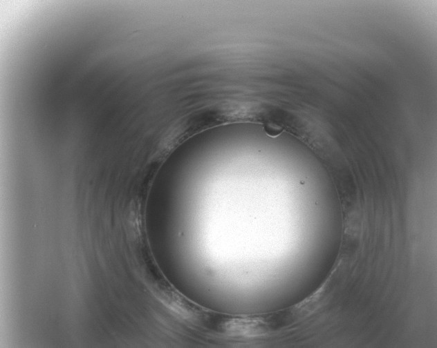 X0000064730179200602131259