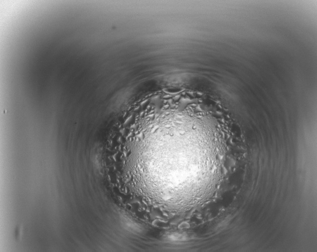 X0000064730181200602131259