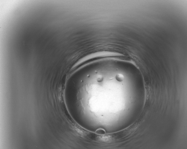 X0000064730189200602131300