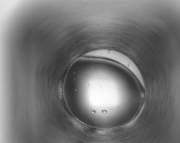 X0000064730190200602131300