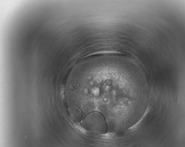 X0000064730191200602131300