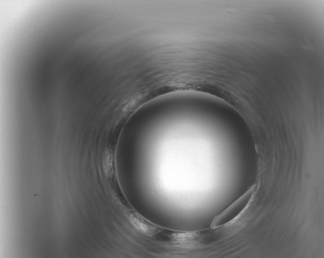 X0000064730192200602131300