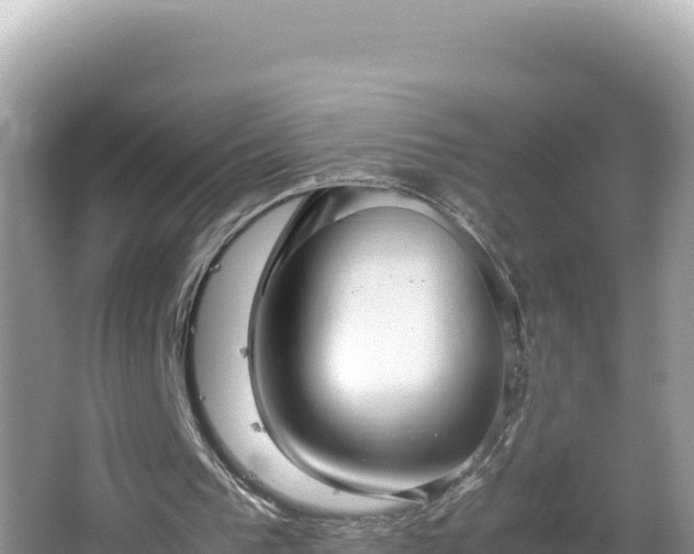 X0000064730193200602131259